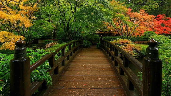 Искусственный, Японский Сад, Мост, Осень, Листва, HD обои