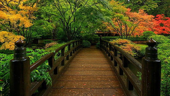 人工、日本庭園、橋、秋、紅葉、 HDデスクトップの壁紙 HD wallpaper