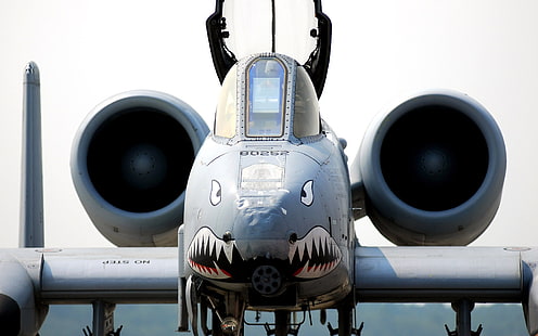 Fairchild Republic A-10 Thunderbolt II, Flugzeuge, Militärflugzeuge, HD-Hintergrundbild HD wallpaper