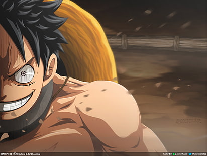 One Piece, Monkey D. Luffy, Fondo de pantalla HD HD wallpaper
