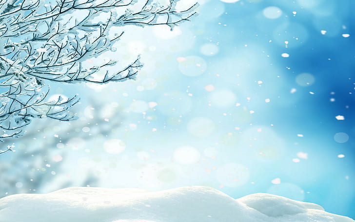 Зимние снежинки, снег, лес, деревья, зима, природа, снежинки, HD обои