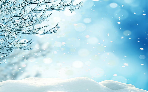 Flocos de neve de inverno, neve, floresta, árvores, inverno, natureza, flocos de neve, HD papel de parede HD wallpaper