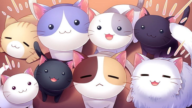 delapan wallpaper digital aneka warna kucing, kucing, Nyan Cafe Macchiato, novel visual, Wallpaper HD