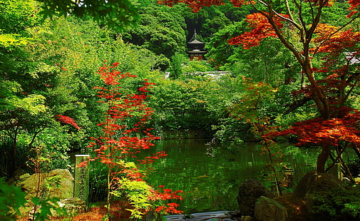 Kyoto Garden, Japón, pagoda roja y gris, Asia, Japón, agradable, naturaleza, jardín, Kyoto, agua, lago, follaje, Fondo de pantalla HD HD wallpaper
