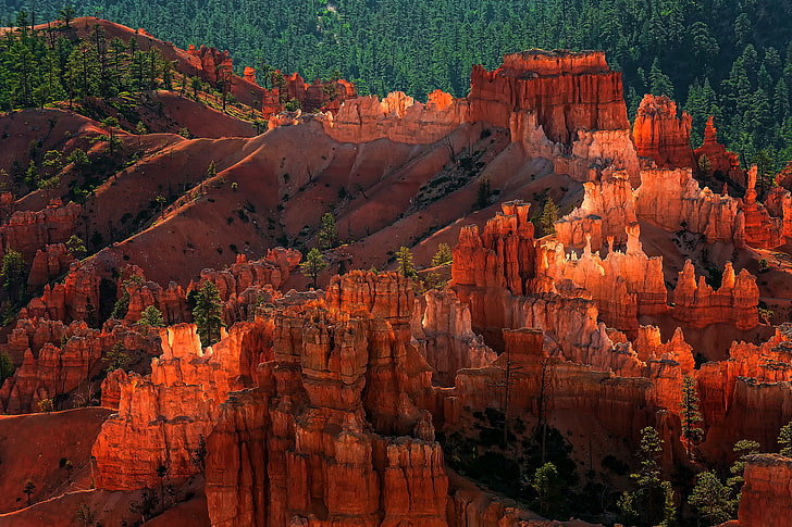 brązowa jałowa ziemia, las, skały, wieczór, USA, park narodowy Bryce Canyon, budowa geologiczna Hoodoos, Utah, Tapety HD