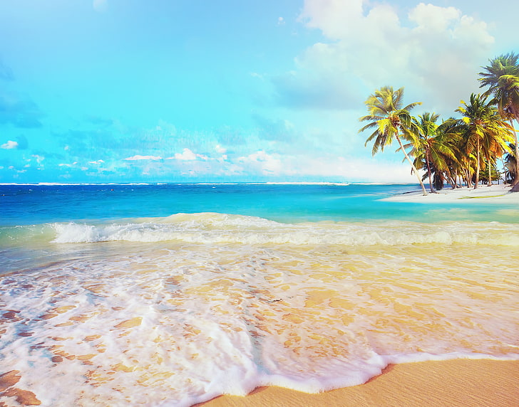 coconut palm trees, landscape, beach, HD wallpaper