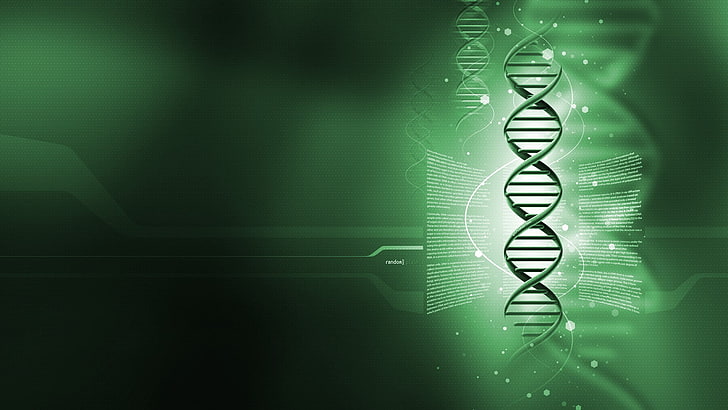 papier peint ADN vert, génétique, art numérique, Fond d'écran HD