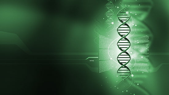 zielona tapeta DNA, genetyka, sztuka cyfrowa, Tapety HD HD wallpaper