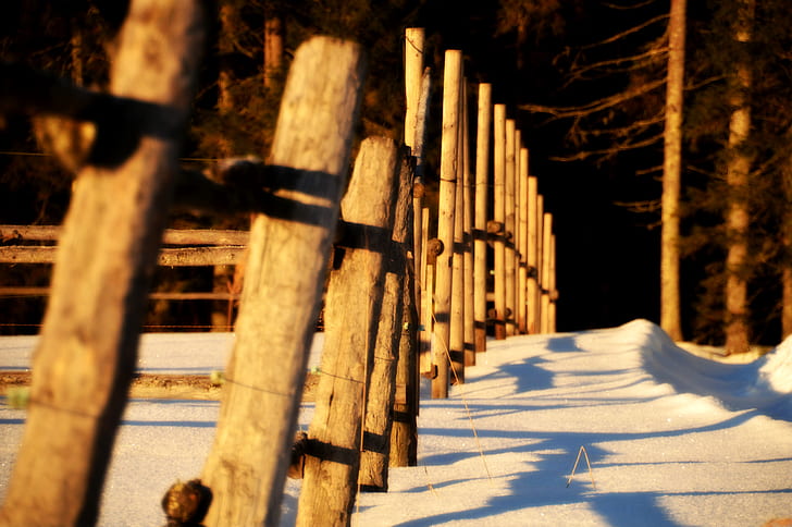 Finlandia, luz solar, luz solar moteada, bosque, frío, invierno, Fondo de pantalla HD