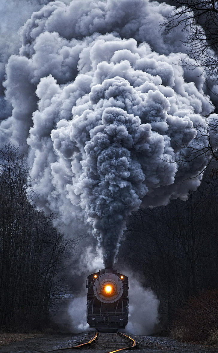 natura, treno, esposizione verticale, locomotiva a vapore, Sfondo HD, sfondo telefono