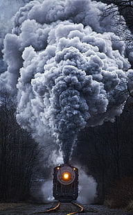 naturaleza, tren, pantalla de retrato, locomotora de vapor, Fondo de pantalla HD HD wallpaper