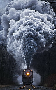 train, nature, steam locomotive, portrait display, HD wallpaper HD wallpaper