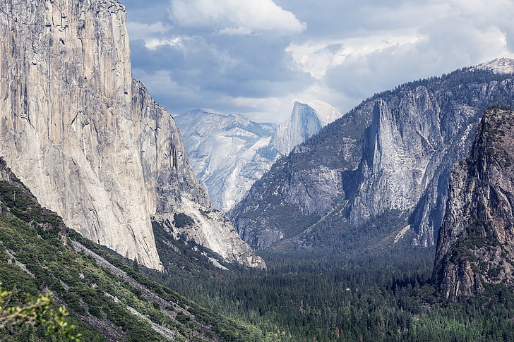 nature, arbres, vallée de Yosemite, parc national de Yosemite, Fond d'écran HD
