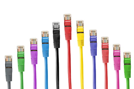 cable, colorido, colorido, lan, cables lan, red, cables de red, cables de conexión, rj 45, rj45, Fondo de pantalla HD HD wallpaper
