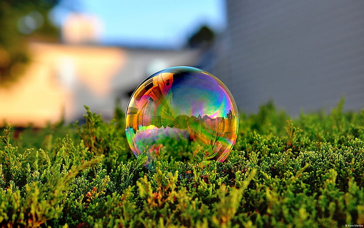 photography, bubbles, nature, HD wallpaper