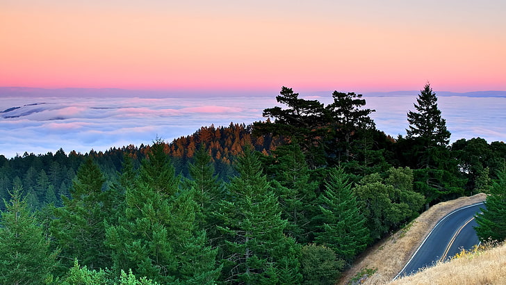 green trees, road, forest, clouds, sunset, mountains, fog, the ocean, ate, Bay, pine, california, CA, quiet, HD wallpaper