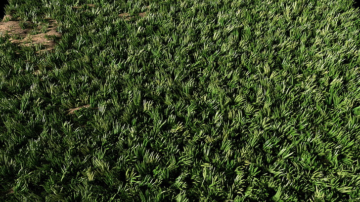 Mixer, Gras, grün, HD-Hintergrundbild