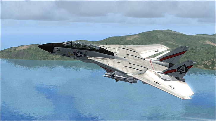 Fsx F-14 Tomcat Vf-41, prop, heli, water, sand, carrier, rocket, fighter, military, turbo, aircraft, copter, chopper, HD wallpaper