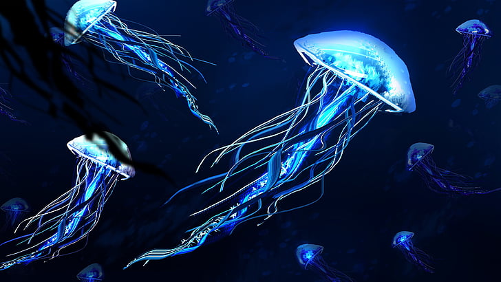 méduse, lumière, sous l'eau, 5k, bleu électrique, ténèbres, 5k uhd, illustration, art fantastique, art, Fond d'écran HD