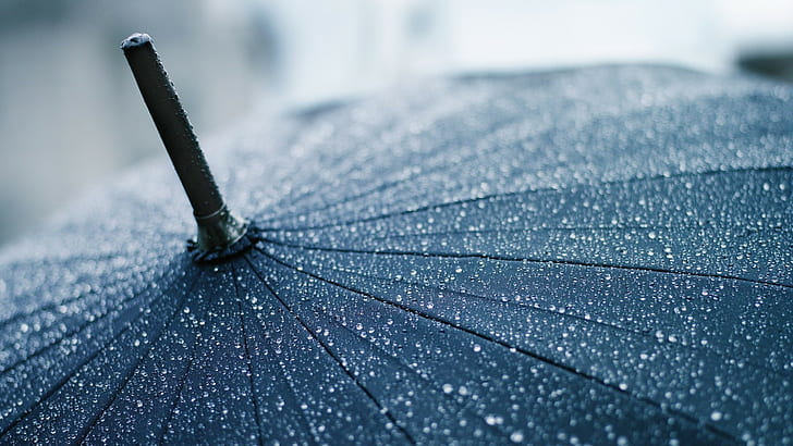 umbrella, rain, water drops, closeup, depth of field, lines, simple, minimalism, HD wallpaper