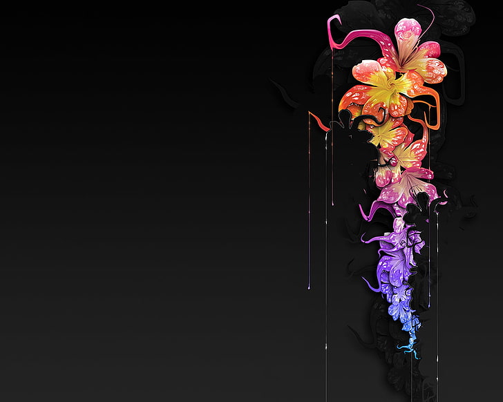 Ilustración de flores de pétalos de rosa, púrpura y azul, gotas, flores, pintura, fondo negro, Fondo de pantalla HD