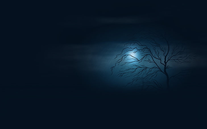 Schwarzweiss-Blumentextil, Bäume, Grafik, Nacht, Mond, Minimalismus, HD-Hintergrundbild