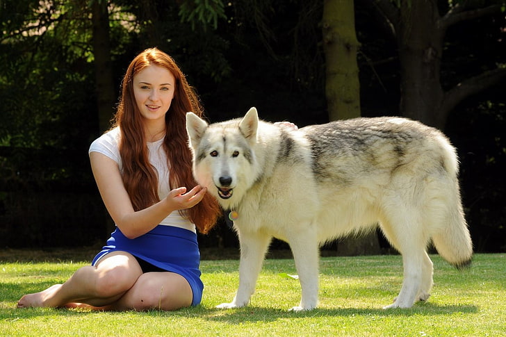 biały Siberian husky, biało-szary Siberian husky, Sophie Turner, Game of Thrones, aktorka, kobiety, ruda, boso, spódnica, kobiety na zewnątrz, pies, zwierzęta, Tapety HD
