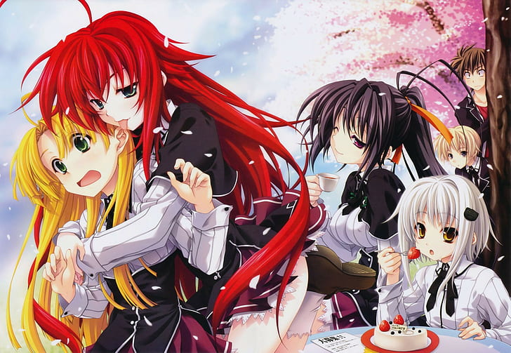 High School DxD, Gremory Rias, HD tapet