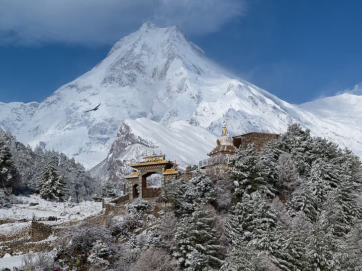 зима, лес, небо, снег, птица, гора, Тибет, храм, Гималаи, HD обои