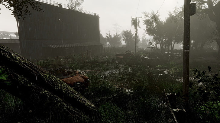 gray electric post, Fallout 4, apocalyptic, mist, nature, Bethesda Softworks, video games, landscape, HD wallpaper