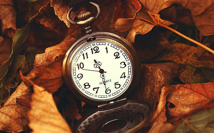 okrągły biało-czarny kwarcowy zegarek kieszonkowy, liście, czas, makro, natura, godziny, Tapety HD