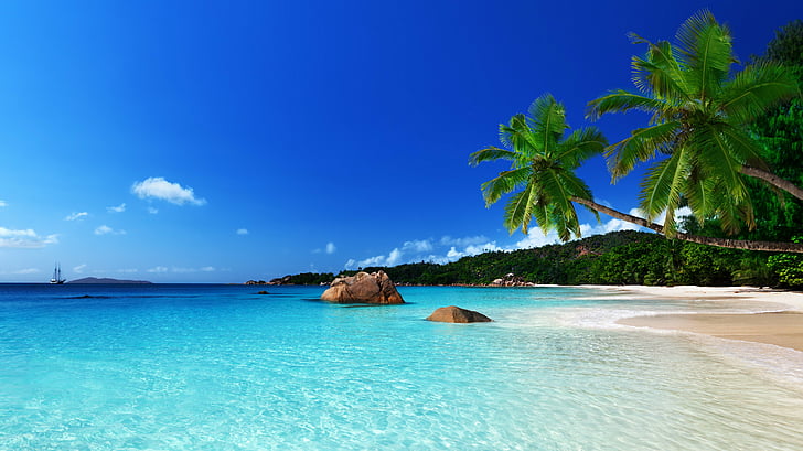 плаж, крайбрежие, океан, палма, рай, море, лято, тропически, HD тапет