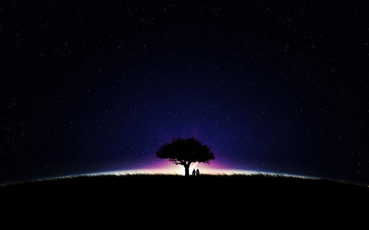 drzewa w nocy tapety, para, romantyczny, noc, gwiazdy, sylwetka, HD, Tapety HD