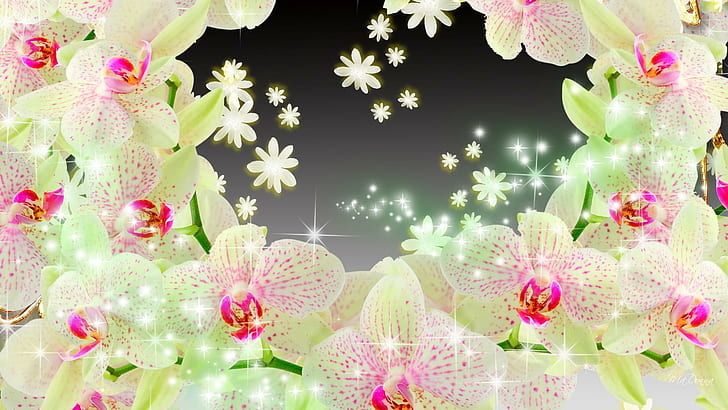 Shining Orchids, green and pink orchids template, delicate, glitter, scintillate, twinkle, glint, lustre, luster, flowers, gleam, winkle, flare, spang, HD wallpaper