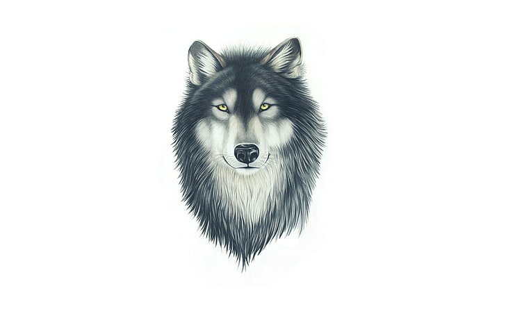 wolf wallpaper, face, wolf, dog, head, painting, HD wallpaper