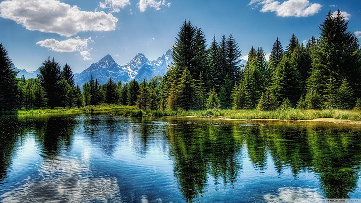 nature, landscape, trees, mountains, reflection, HD wallpaper