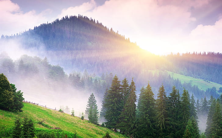 Piękna poranna natura, góry, mgła, świt, drzewa, promienie słoneczne, piękny, poranek, natura, góry, mgła, świt, drzewa, słońce, promienie, Tapety HD