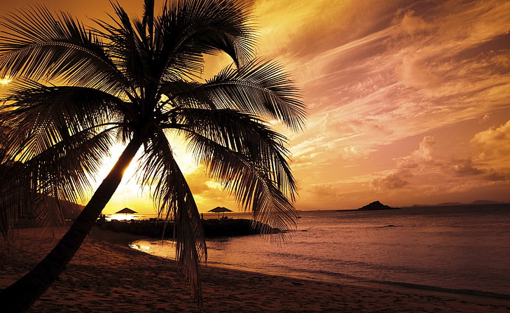 Tropical Beach Sunset Pohon Palem Alam Pantai Matahari Terbenam Tropis Wallpaper Hd Wallpaperbetter