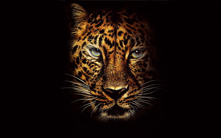 Jaguar i Jumanji Välkommen till Jungle 4K 8K, Jungle, Welcome, Jaguar, The, Jumanji, HD tapet
