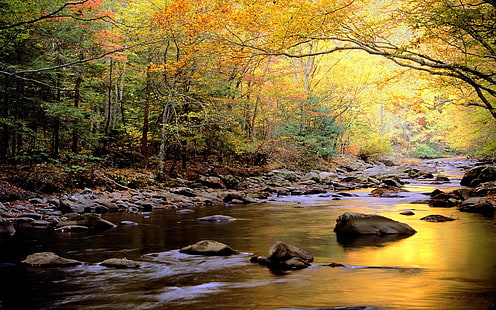 River Beautiful Pics Widescreen Nature Hd Wallpapers Desktop, HD tapet HD wallpaper
