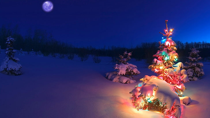 Коледни тапети, коледно дърво, сняг, коледни светлини, HD тапет