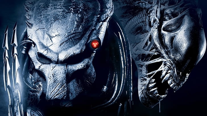 alien vs_ predator alien film predator film, Wallpaper HD