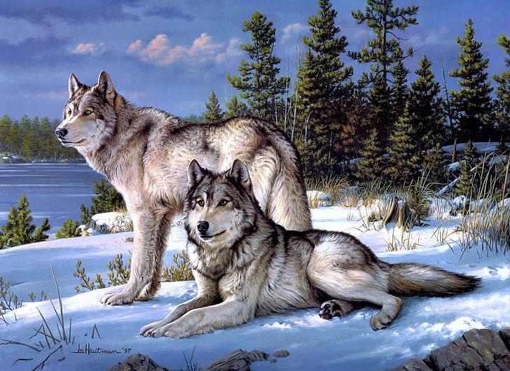two white-and-black wolves painting, winter, forest, wolves, Joseph Hautman, HD wallpaper