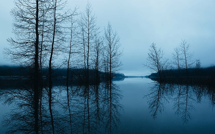 body of water surrounded by bare trees, All The Things, body of water, bare trees, reflection, snoqualmie pass, Pacific Northwest, nature, morning, cloudy, overcast, calm, Canon EOS 5D Mark III, long exposure, john, westrock, Canon EF, 70mm, f/2, USM, washington, tree, forest, lake, water, landscape, scenics, outdoors, tranquil Scene, sky, HD wallpaper