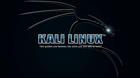 리눅스 GNU 칼리 리눅스 칼리 리눅스 넷 헌터, HD 배경 화면 HD wallpaper
