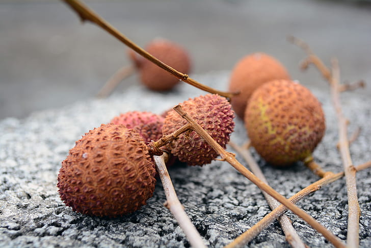 lychee, chinese, fruits, exotic, branches, Food, HD wallpaper