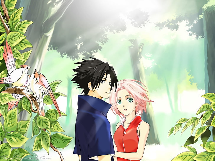 Sasuke Itachi dan Sakura, anak laki-laki, perempuan, berjalan, berpelukan, burung, Wallpaper HD