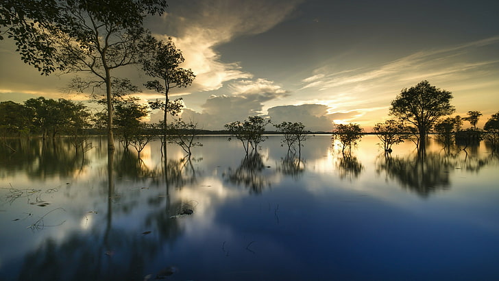 reflection, water, sky, nature, dawn, tree, reflected, lake, sunrise, flooding, cloud, morning, flood, HD wallpaper