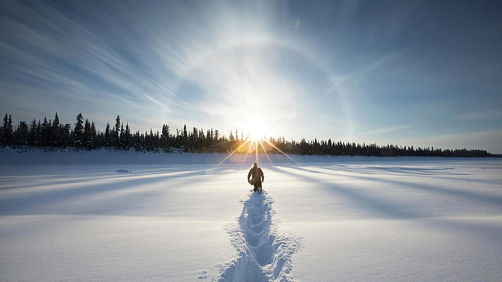 person walking on snow-covered place toward forest at daytime, landscape, snow, lens flare, forest, winter, HD wallpaper