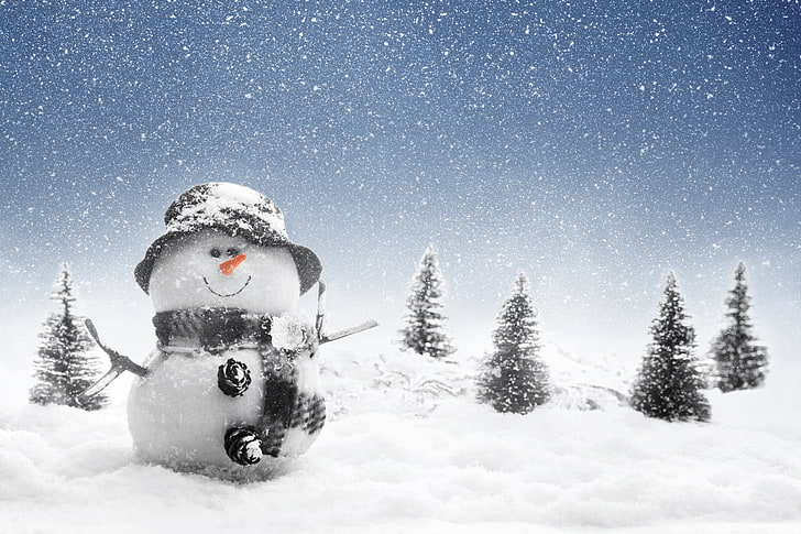 snowman, winter, snow, New Year, snowman, Christmas, Merry, HD wallpaper